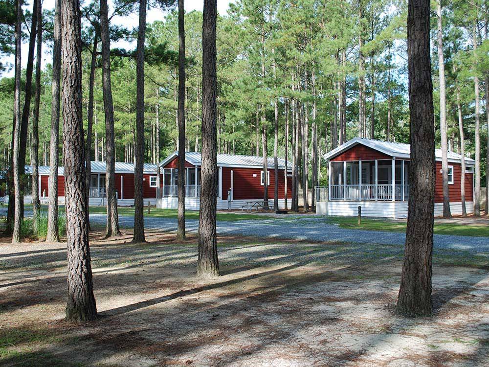 A row of cabins surrounded by tall trees at SUN OUTDOORS CHESAPEAKE BAY