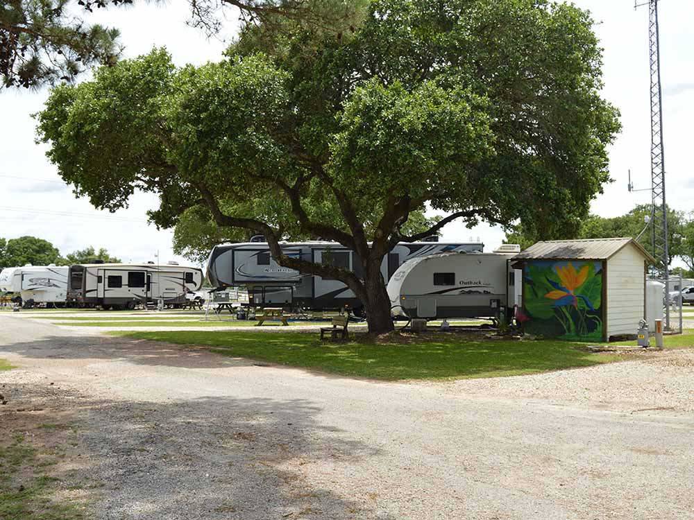 A row of trailers parked in sites at WHISPERING OAKS RV PARK