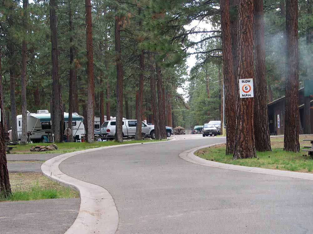RV sites surrounded by large trees at EAGLE LAKE RV PARK