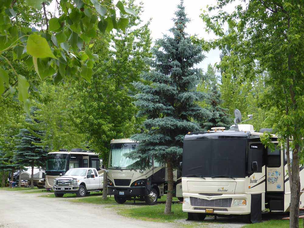 Motorhomes and tow vehicles in woodsy campsites at PAIR-A-DICE RV PARK