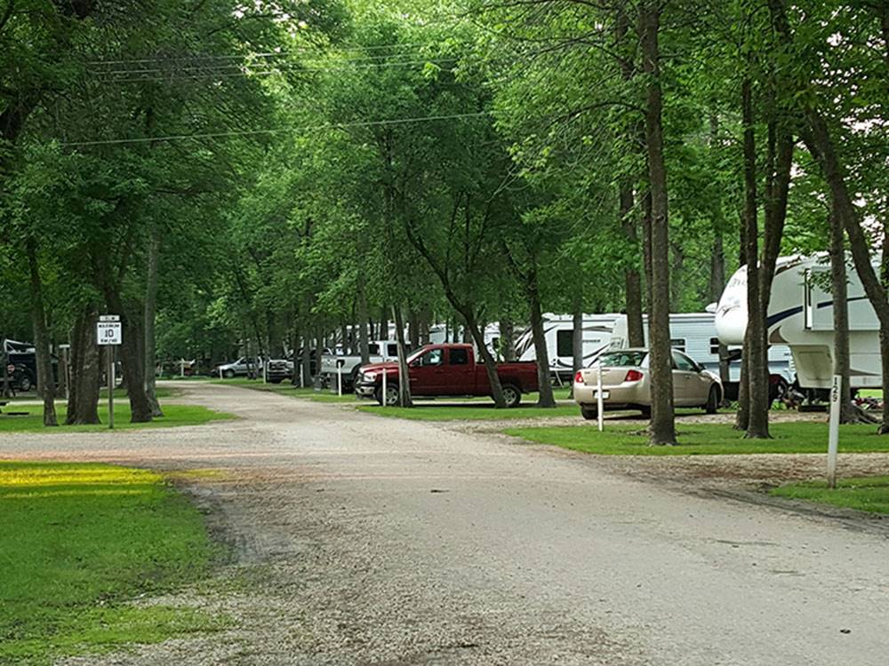 Road running through campground with trees at MILLER'S CAMPING RESORT
