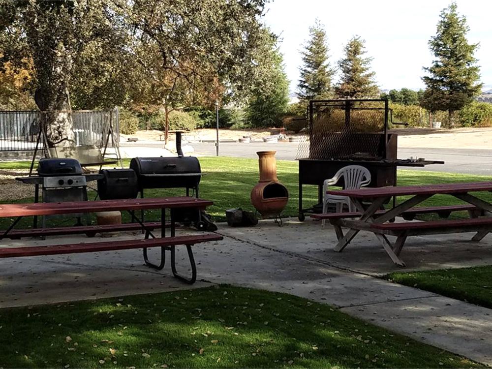 Patios with picnic tables and barbeque grills at PASO ROBLES RV RANCH