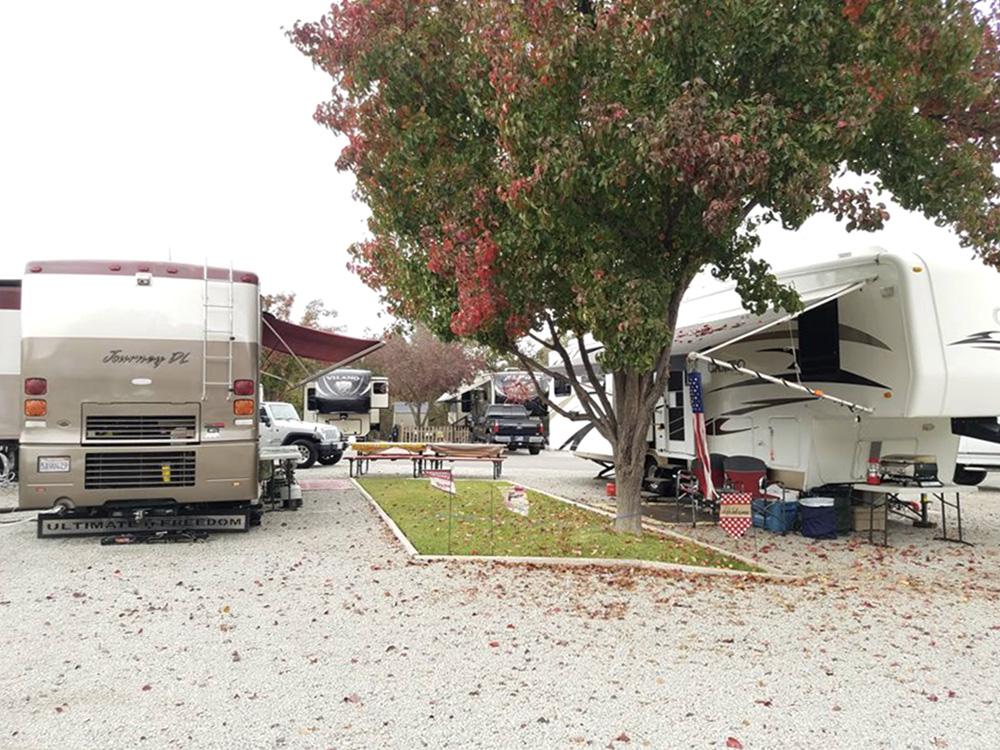 RVs in large gravel sites with grassy patch between them at PASO ROBLES RV RANCH