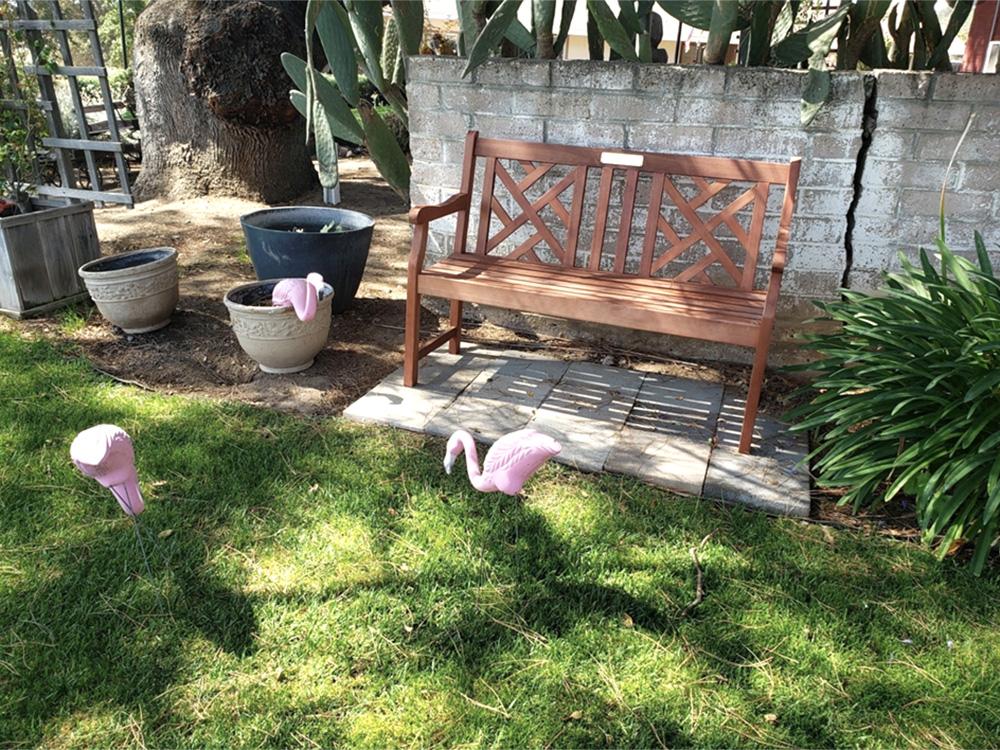 A bench under a shade tree with plastic pink flamingos at PASO ROBLES RV RANCH