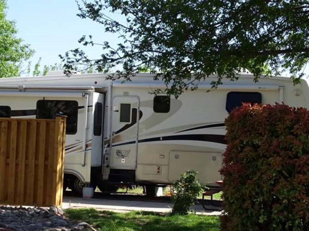 RV in a site at Rancho Verde RV Park