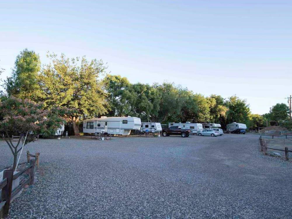 Gravel road through park at Rancho Verde RV Park