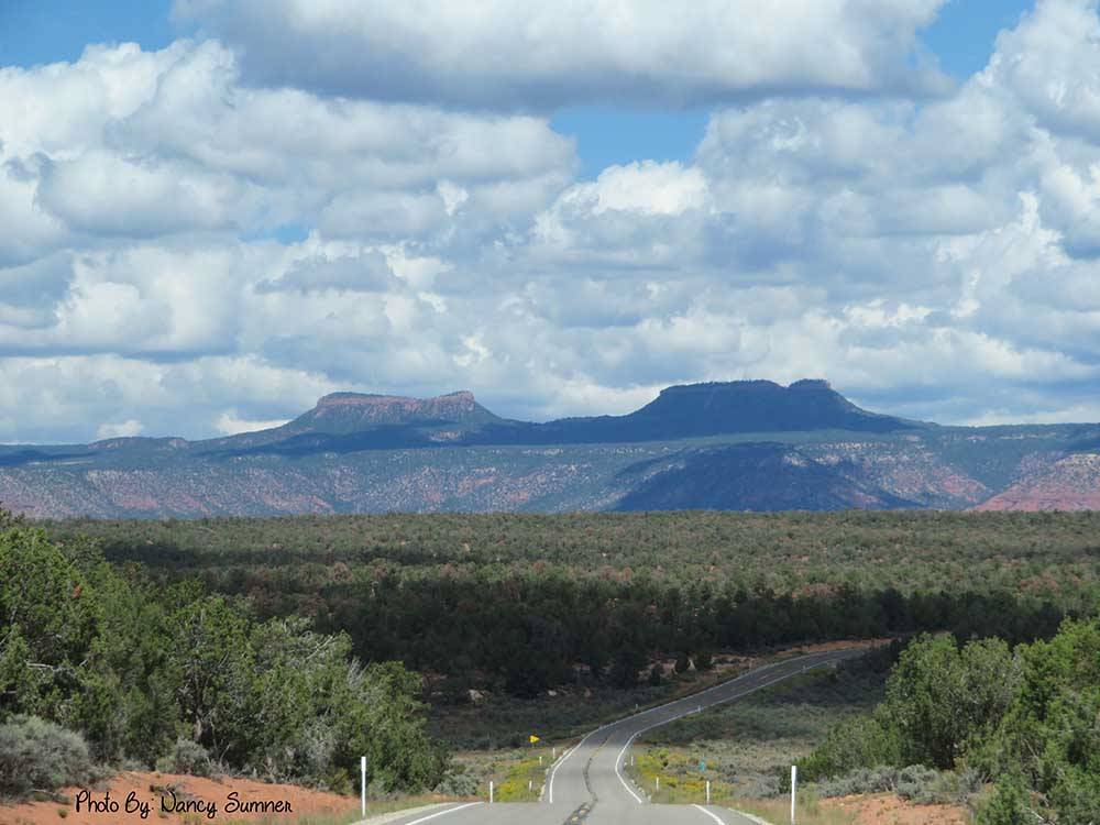 The road going thru Bears Ears nearby at COTTONWOOD RV PARK