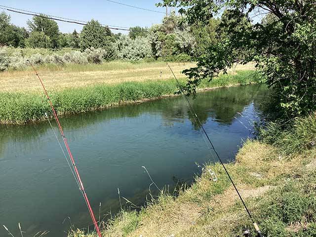 Fishing in the river
