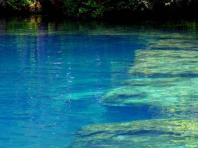 Chassahowitzka River Campground