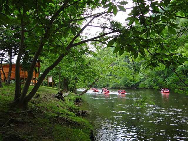 Enjoy a slow raft on the Pigeon River