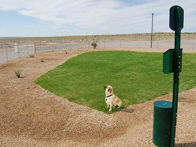 Furry family members can enjoy playing in one of two grassy dog parks!