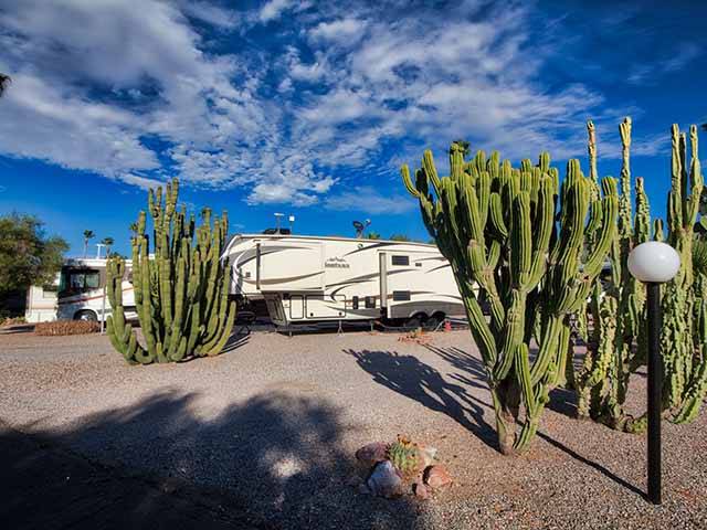 South Forty RV Ranch