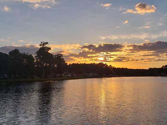 WillowTree RV Resort & Campground