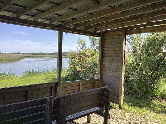 Bird watching hut with benches on the marsh water edge