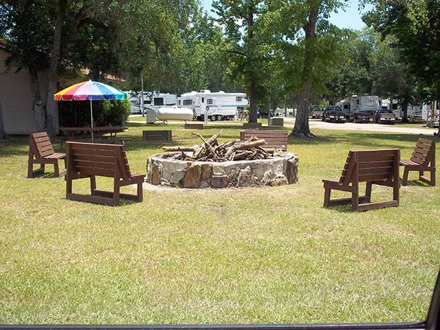 Relax in one of our shady sites