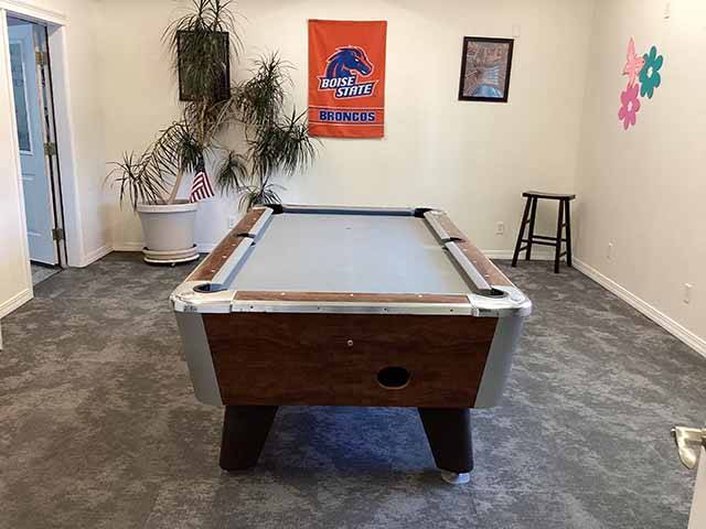 THE  POOL TABLE