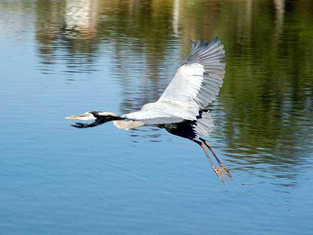 Santee Lakes Recreation Preserve