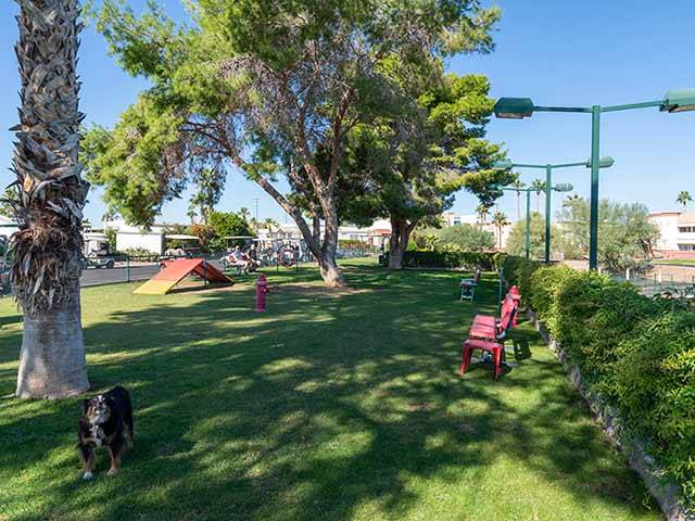 Sunflower RV Resort