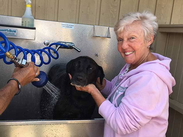 We Love Our Furry Visitors and They Love Our Dog Wash Station!