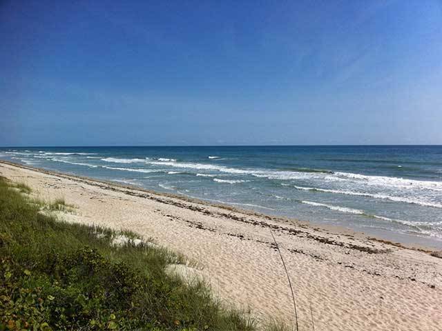 Beaches Nearby!