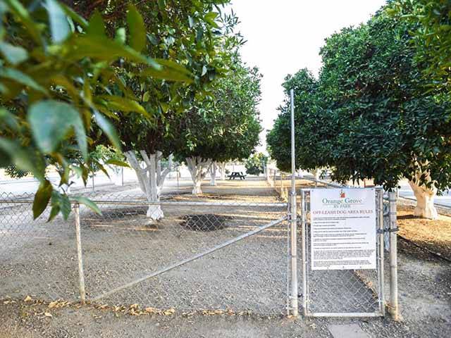 Orange Grove RV Park