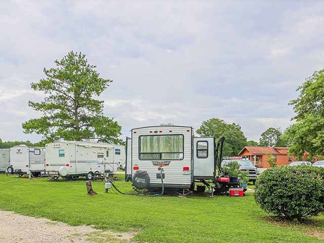 Nice grassy areas for relaxing!
