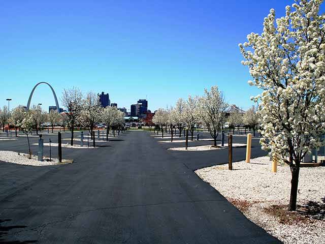 DraftKings at Casino Queen RV Park