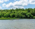 A woman sunning on the lake at Jellystone Park Androscoggin Lake - thumbnail