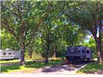 View larger image of Travel trailers in camp sites under shade tree at SAFARI MOBILE HOME  RV COMMUNITY image #2