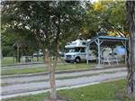 View larger image of RV next to picnic table under canopy at SAFARI MOBILE HOME  RV COMMUNITY image #8
