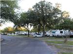 View larger image of Road leading to RV campsites at SAFARI MOBILE HOME  RV COMMUNITY image #9