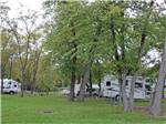View larger image of A group of grassy RV sites at LEATHERMANS FALLING WATERS CAMPSITE image #6