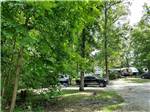 View larger image of A row of RV sites surrounded by trees at DEER RIDGE CAMPING RESORT image #1