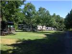 View larger image of RVs parked in a row at GREENVILLE FARM FAMILY CAMPGROUND image #8