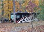 A motorhome under trees at GREENVILLE FARM FAMILY CAMPGROUND - thumbnail