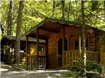 View larger image of A couple of rental rustic cabins at MOUNTAIN VISTA CAMPGROUND image #2