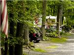 View larger image of RV sites in lush forest setting at MOUNTAIN VISTA CAMPGROUND image #5