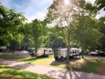 RVs parked in shady sites - thumbnail