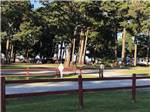 View of trees and wooden fence onsite at TOM'S COVE PARK - thumbnail