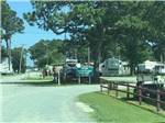 Road leading to RV sites at TOM'S COVE PARK - thumbnail