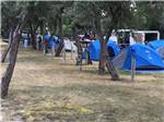 View larger image of People camping with tents at SNAKE RIVER RV PARK AND CAMPGROUND image #8