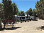 View larger image of A row of RV sites down a gravel road at OASIS RV RESORT  COTTAGES - DURANGO image #2