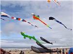 View larger image of People flying kites on the beach at SEA  SAND RV PARK image #9