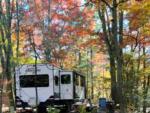 RV parked in shaded site - thumbnail