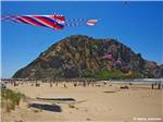 View larger image of Kites flying on the beach at MORRO DUNES RV PARK image #9