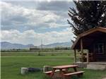 A grassy field with a picnic table next to a cabin at RUBY VALLEY CAMPGROUND & RV PARK - thumbnail