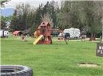 The playground equipment at RUBY VALLEY CAMPGROUND & RV PARK - thumbnail