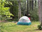 A tent in a camping site at WAKEDA CAMPGROUND - thumbnail