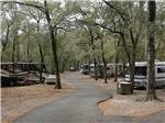 View larger image of RVs and truck and trailers camping with leaves on the ground at SAVANNAH OAKS RV RESORT image #1