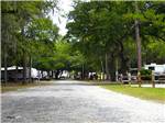 View larger image of Trailers camping at campsite surrounded by large trees at SAVANNAH OAKS RV RESORT image #9
